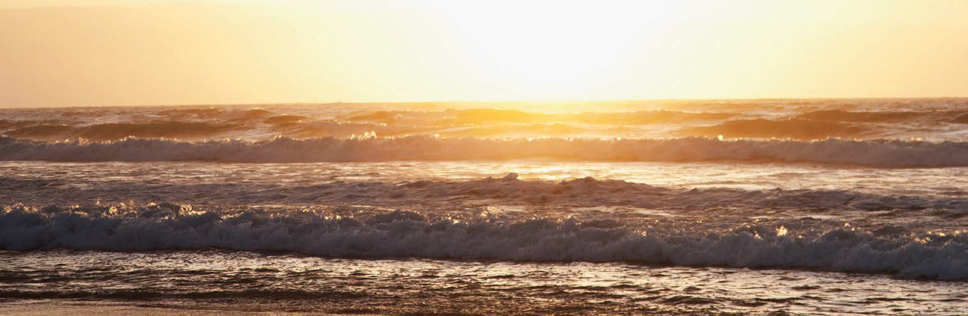 Sanghi Industries Limited at a Glance