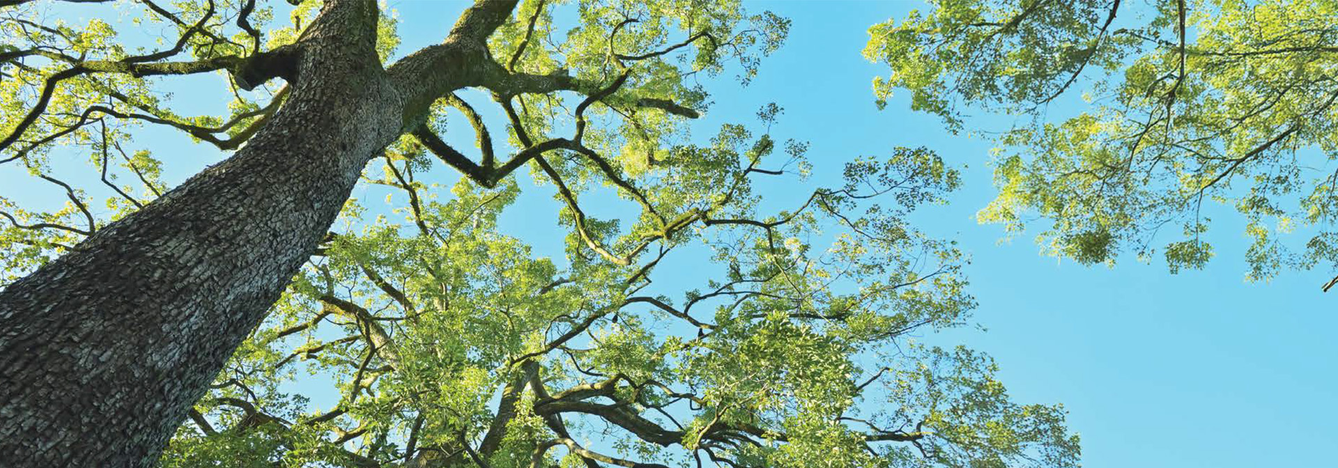 Empowering the nation