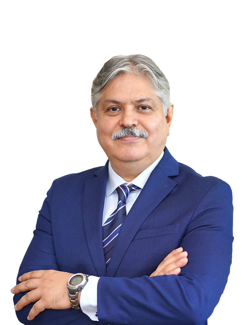 Ajay Kapur Sanghi cement